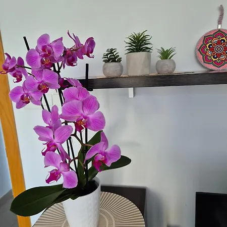 Ideal Unos Dias De Descanso, Tranquilo, Centrico Apartman
